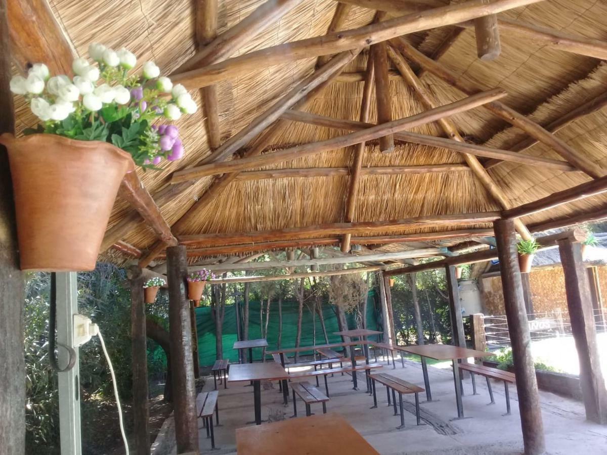 Cabanas Alto Bermejo Villa Mendoza Luaran gambar